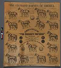 Harness Poster Before Treatment